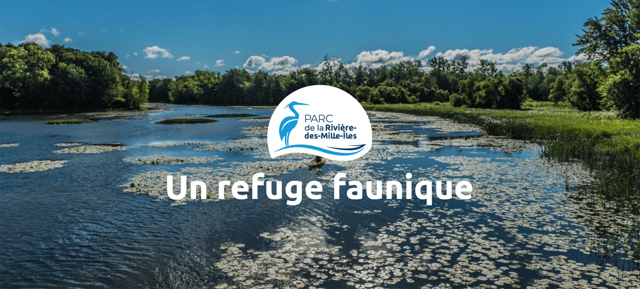 Emploi à Éco-Nature - Parc de la Rivière-des-Mille-Îles